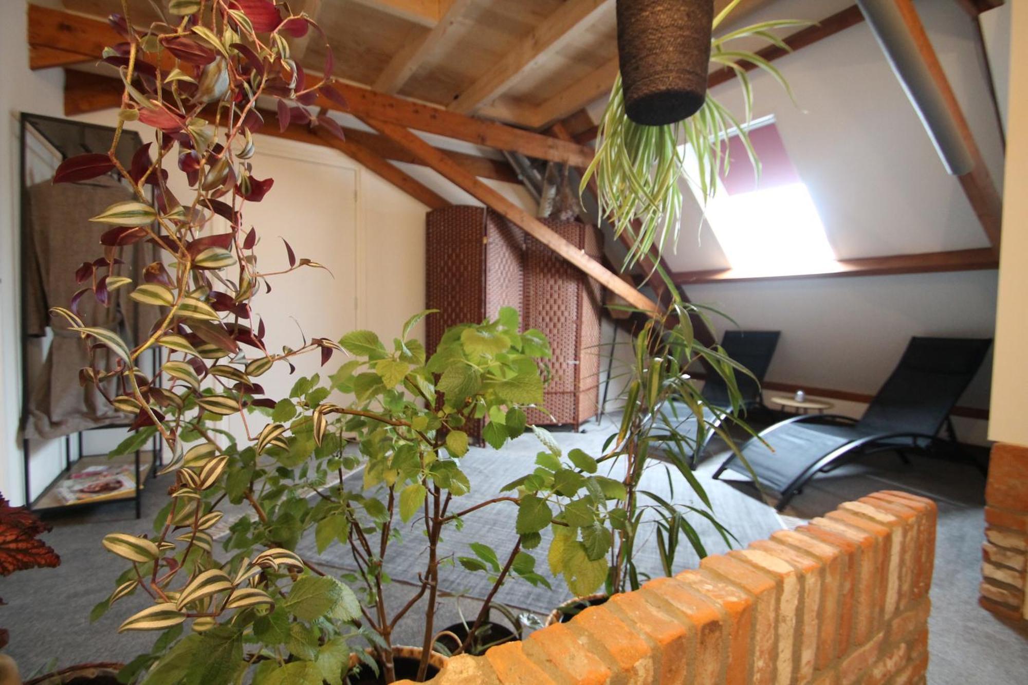 Karin's Kruidenhoeve Kamille Met Finse Sauna * Lutten